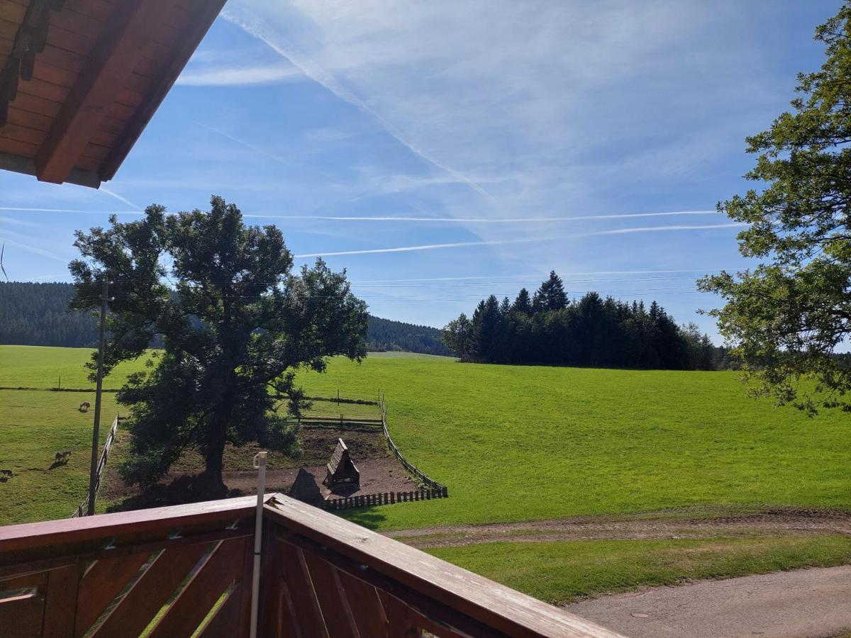 Urlaub An Der Grenze Apartment Lauterbach  Exterior photo